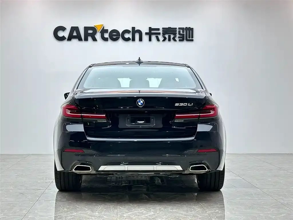 BMW 5 Series 2022 из CN, фото 4