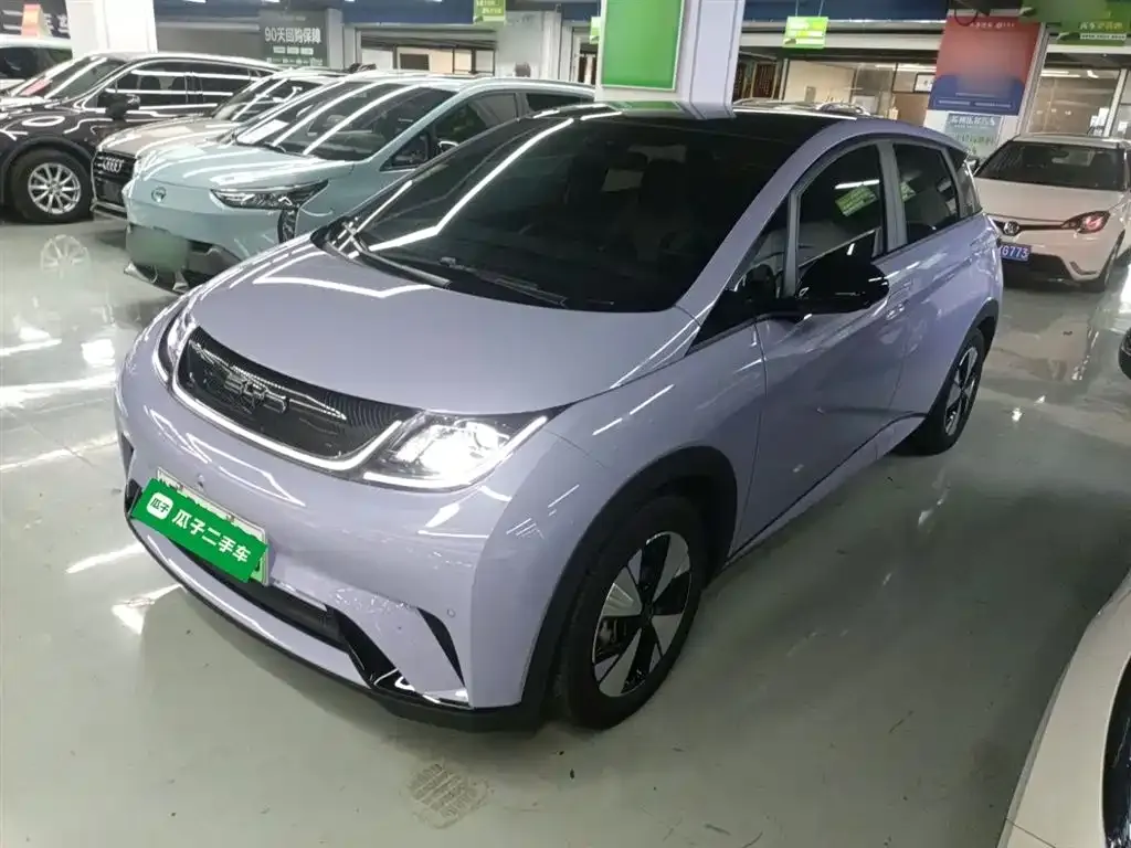 BYD Dolphin 2024 из CN, фото 2