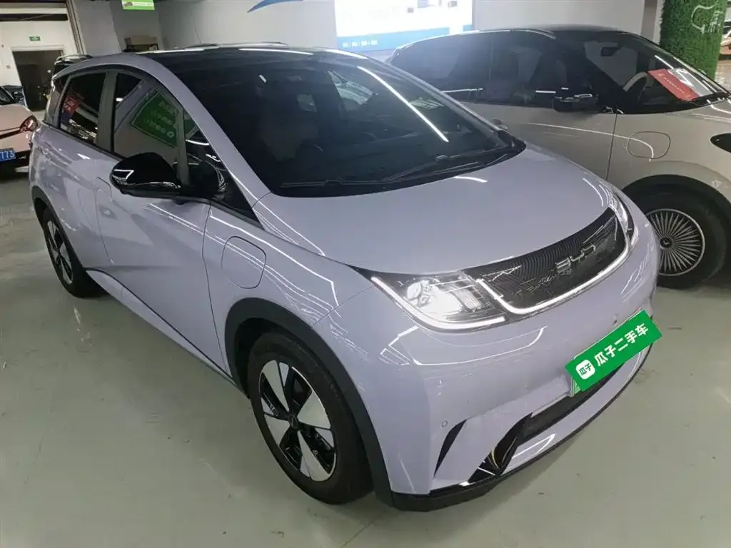 BYD Dolphin 2024 из CN, фото 4