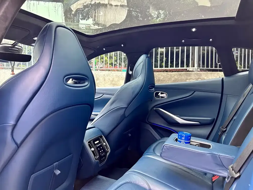 Aston Martin DBX 2021 из CN, фото 10