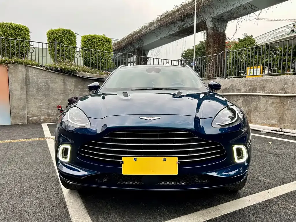 Aston Martin DBX 2021 из CN, фото 2