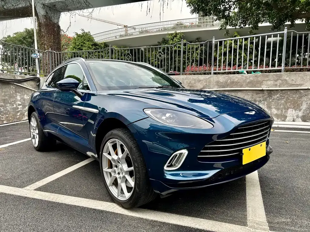 Aston Martin DBX 2021 из CN, фото 3