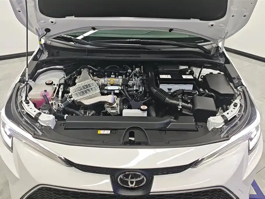 [object Object] Levin 2024 из CN, фото 10