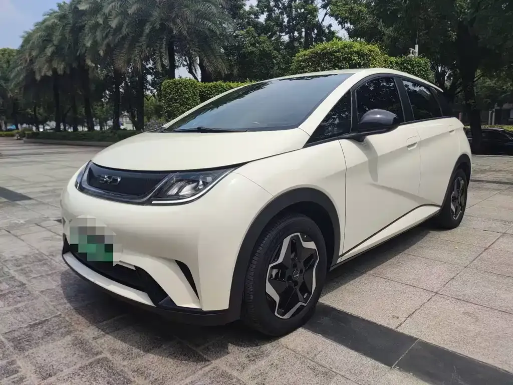 BYD Dolphin 2024 из CN, фото 1