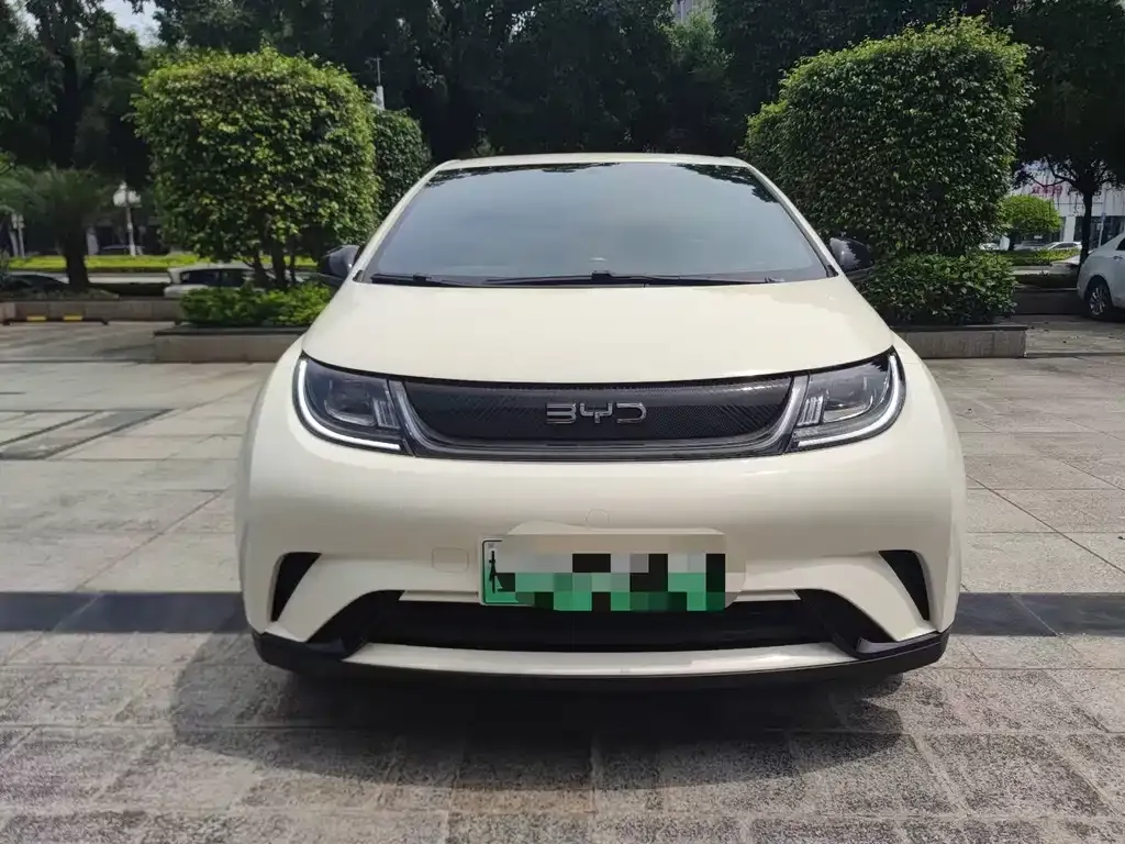 BYD Dolphin 2024 из CN, фото 2