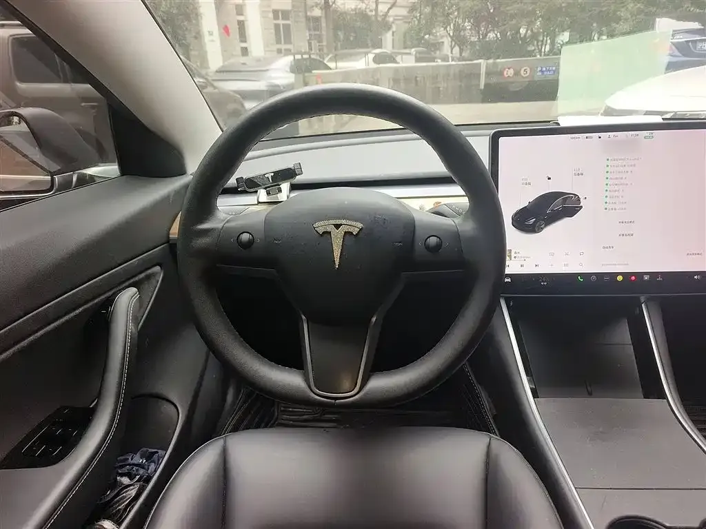 Tesla Model 3 2021 из CN, фото 3