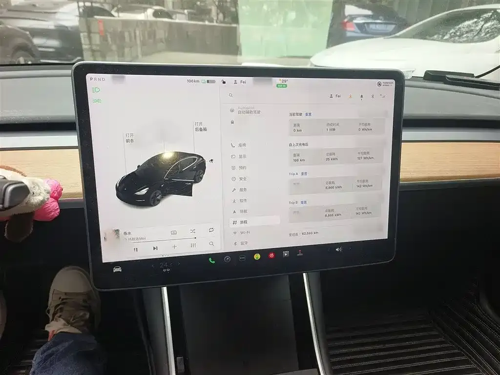 Tesla Model 3 2021 из CN, фото 4