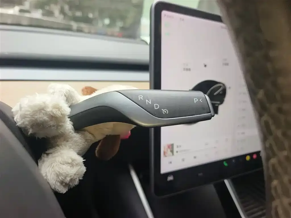 Tesla Model 3 2021 из CN, фото 6