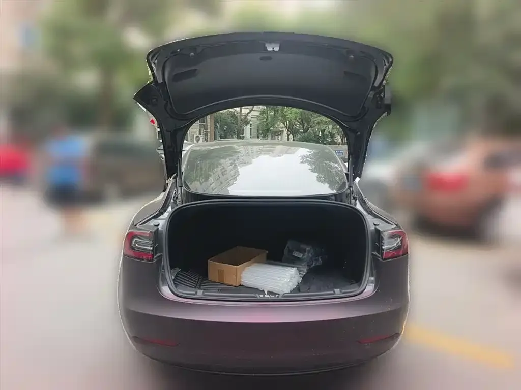 Tesla Model 3 2021 из CN, фото 9