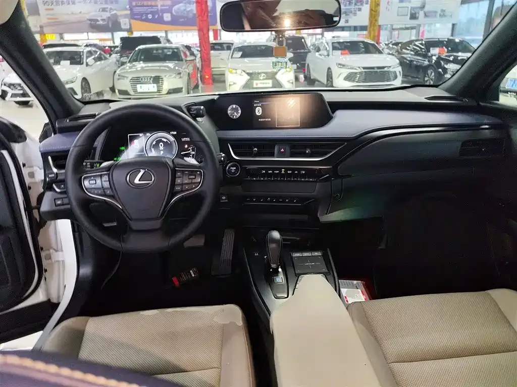 Lexus UX New Energy 2022 из CN, фото 10