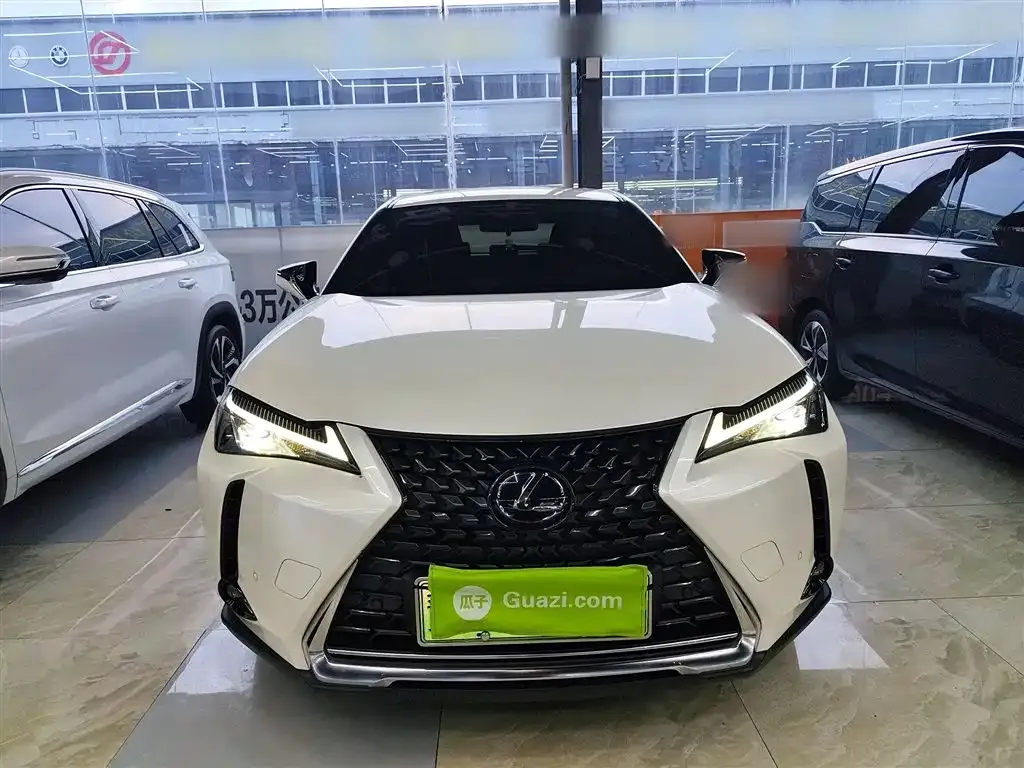 Lexus UX New Energy 2022 из CN, фото 3