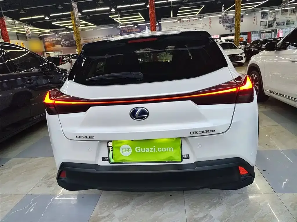 Lexus UX New Energy 2022 из CN, фото 6