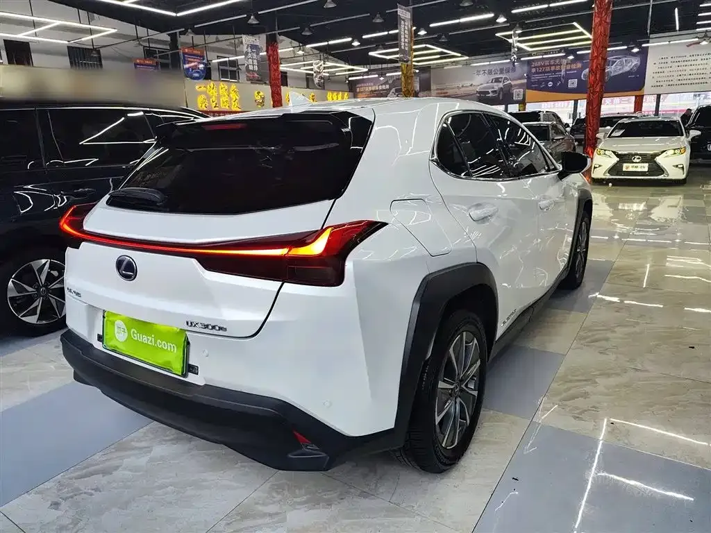 Lexus UX New Energy 2022 из CN, фото 7