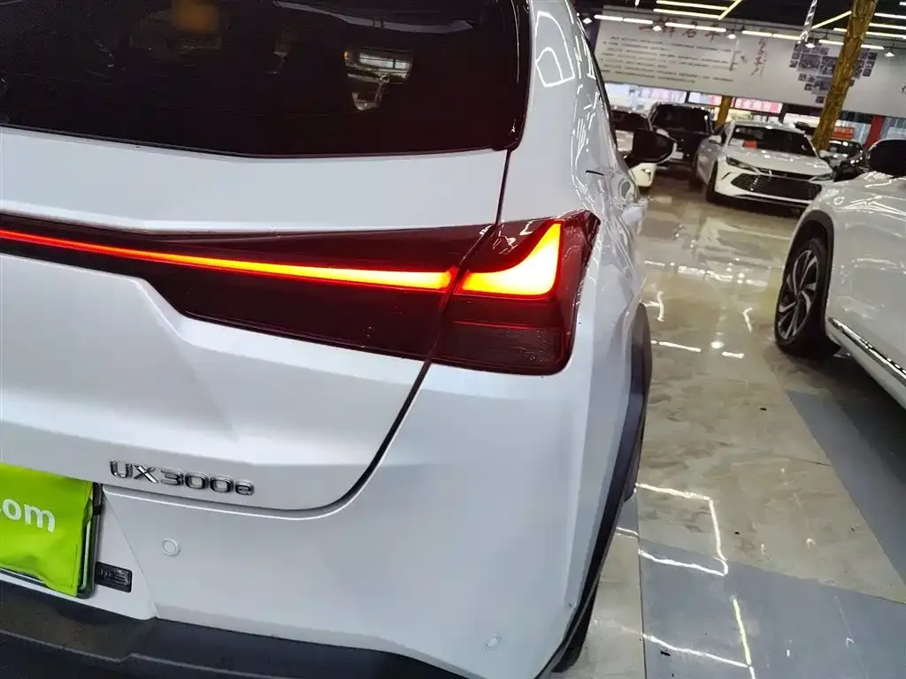 Lexus UX New Energy 2022 из CN, фото 8