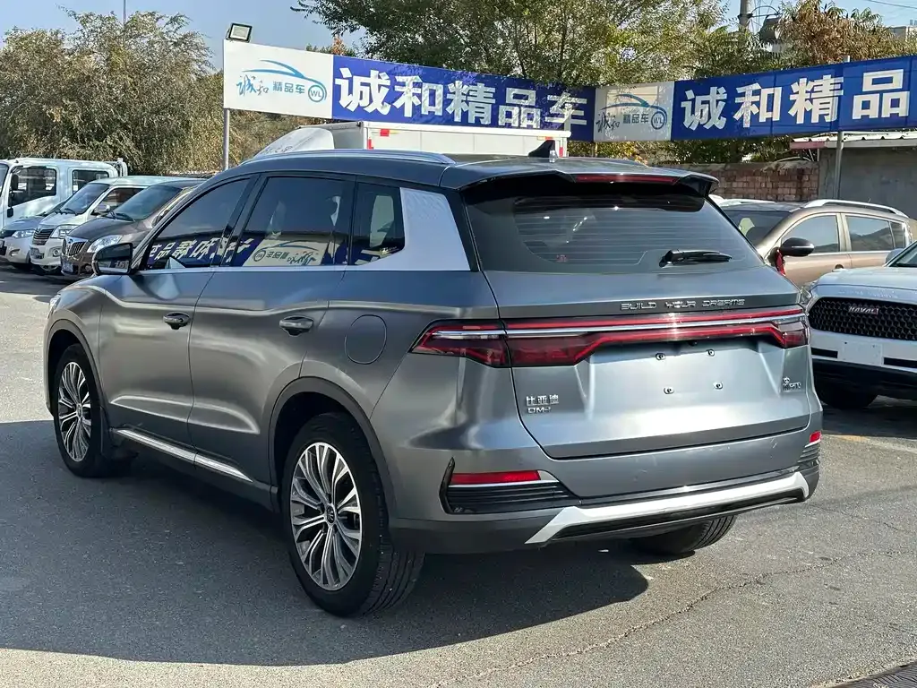 BYD Pro New Energy 2023 из CN, фото 7