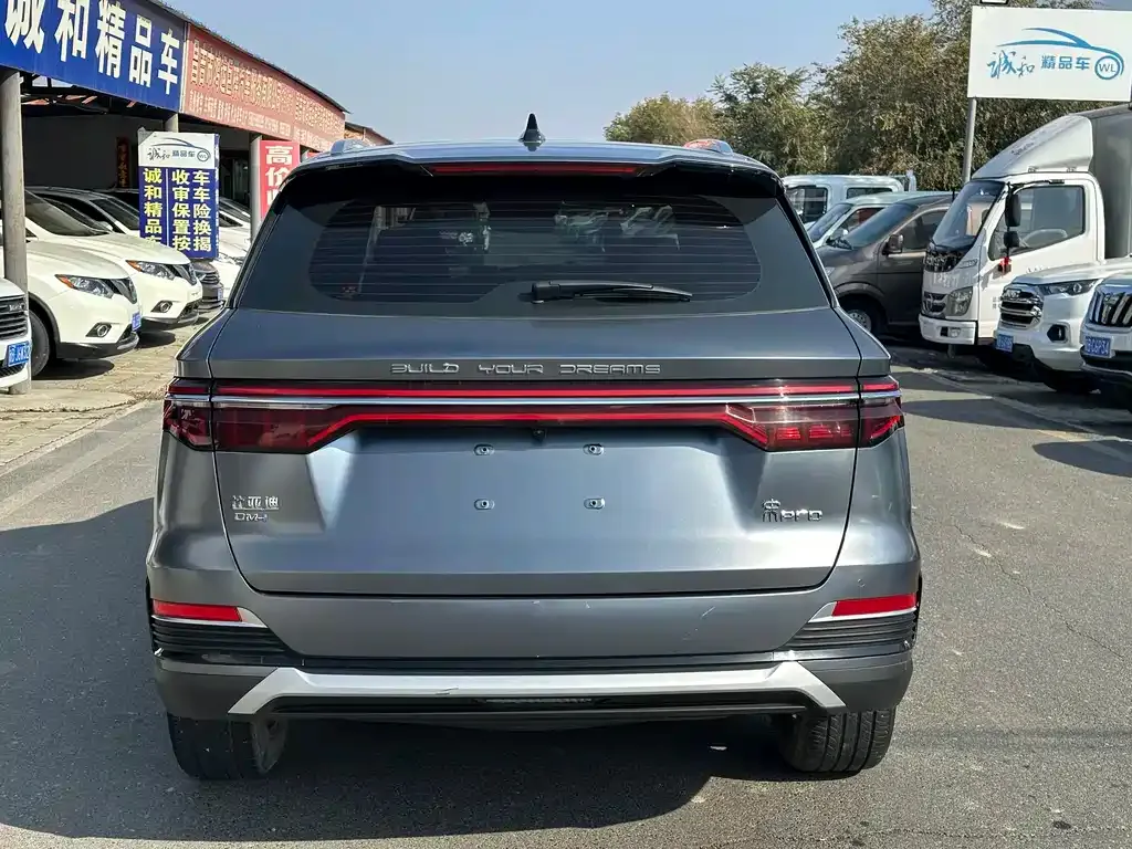 BYD Pro New Energy 2023 из CN, фото 8
