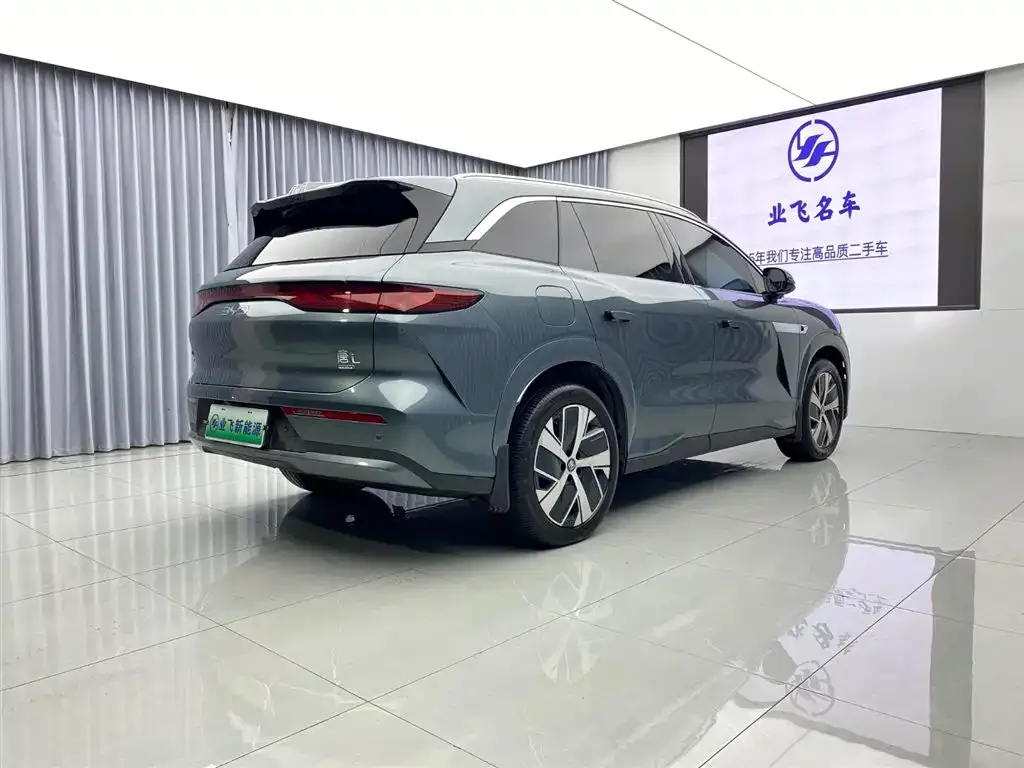 BYD Tang L 2025 из CN, фото 4