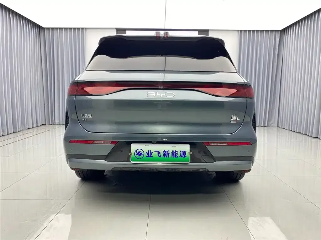 BYD Tang L 2025 из CN, фото 5