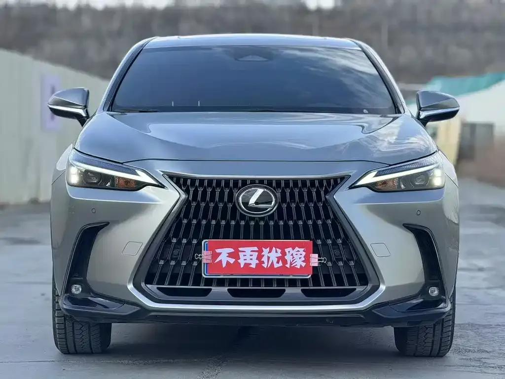 Lexus NX 2023 из CN, фото 2