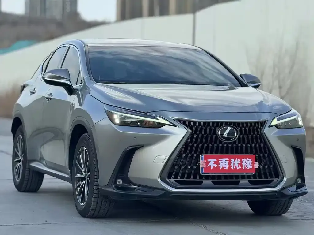 Lexus NX 2023 из CN, фото 3