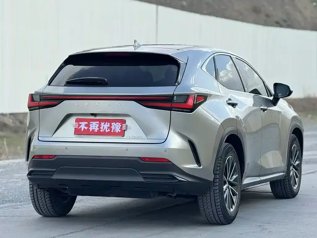 Lexus NX 2023 из CN, фото 7