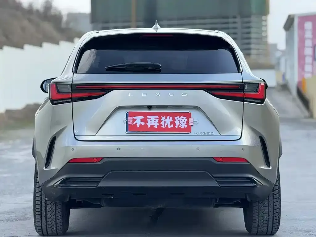 Lexus NX 2023 из CN, фото 8