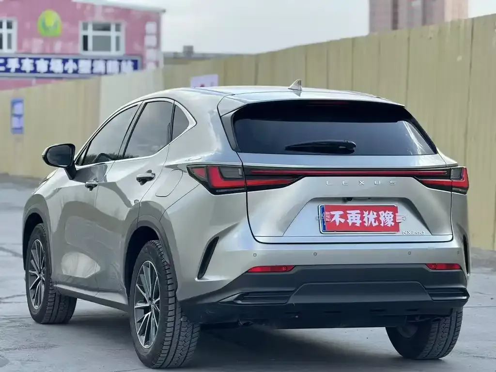 Lexus NX 2023 из CN, фото 9