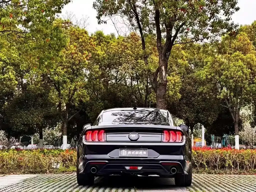 Ford Mustang 2021 из CN, фото 8