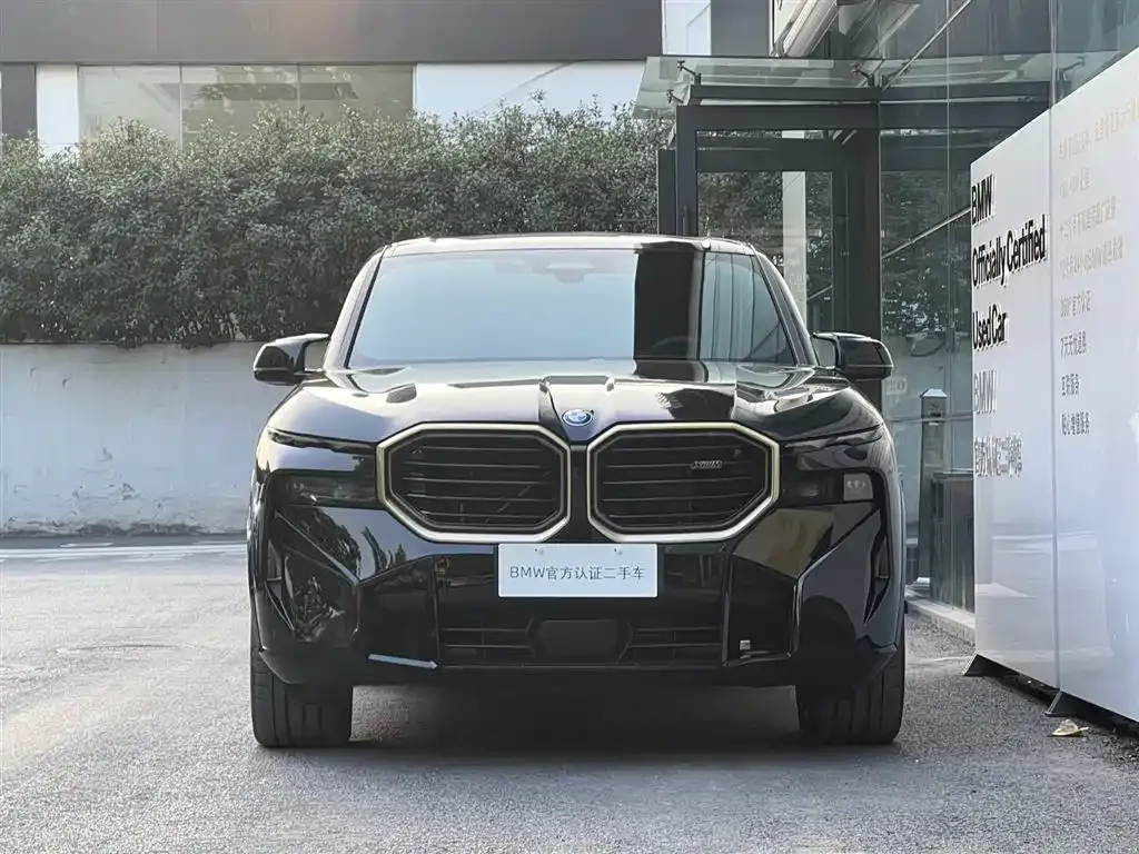 BMW XM 2023 из CN, фото 2