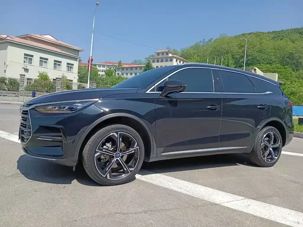 BYD Tang New Energy 2023 из CN, фото 1