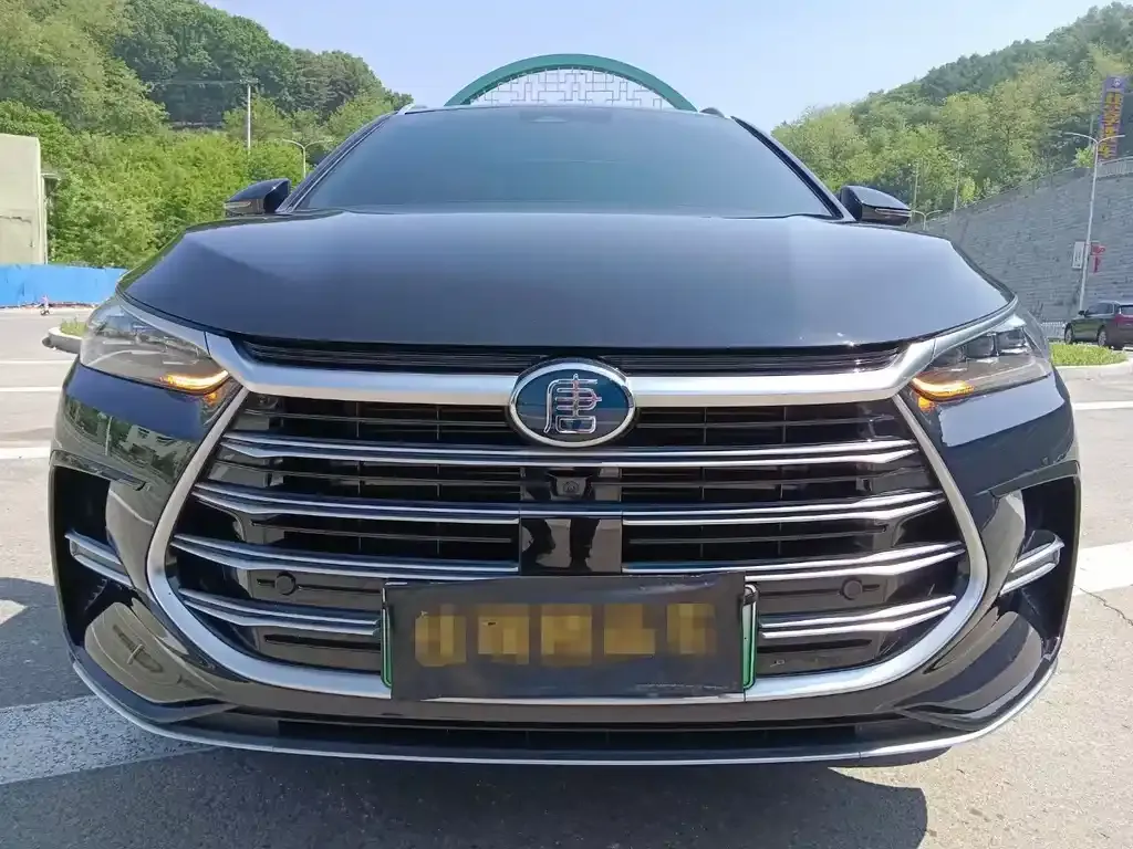 BYD Tang New Energy 2023 из CN, фото 2