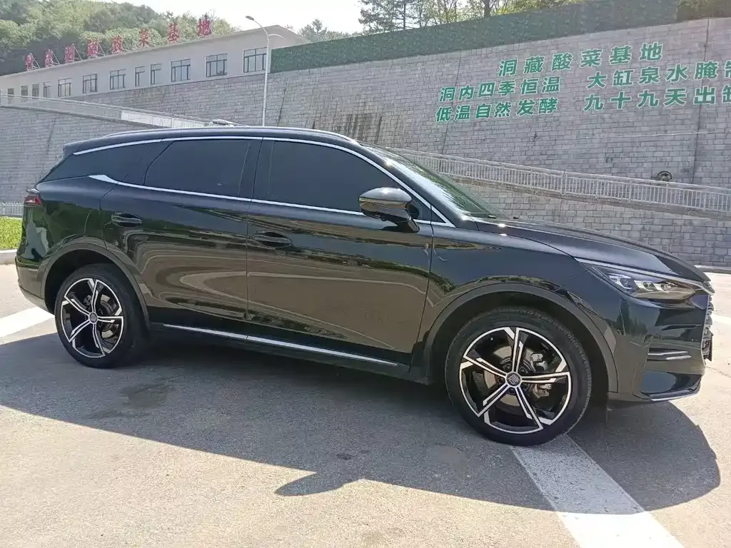BYD Tang New Energy 2023 из CN, фото 3