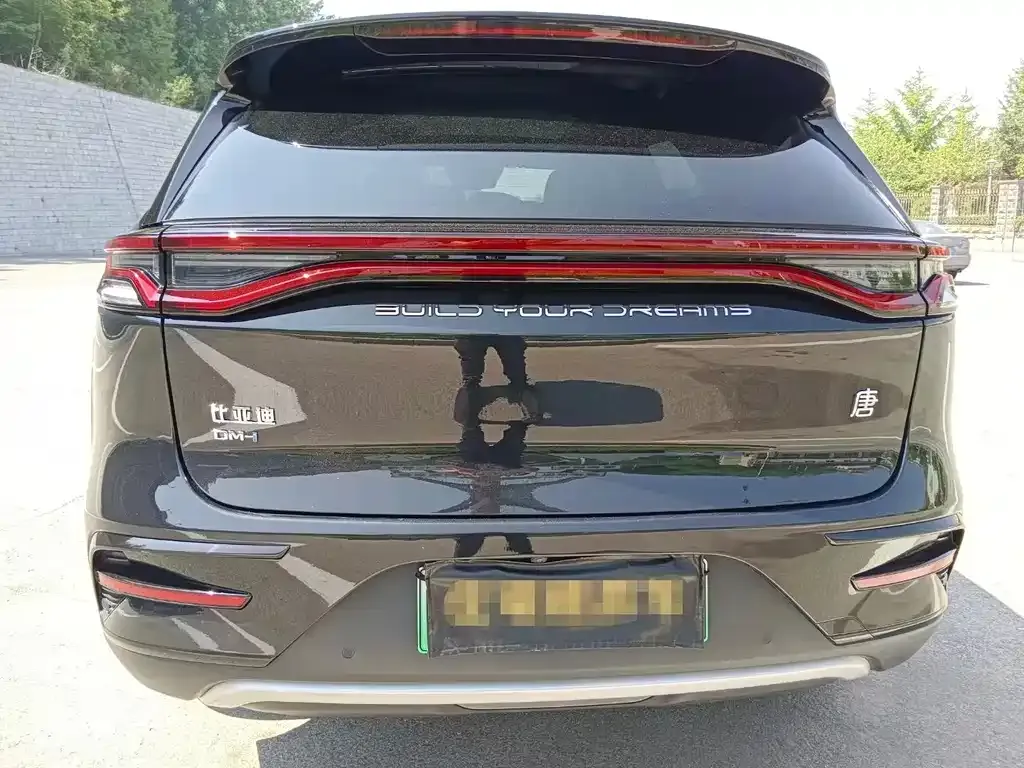 BYD Tang New Energy 2023 из CN, фото 4