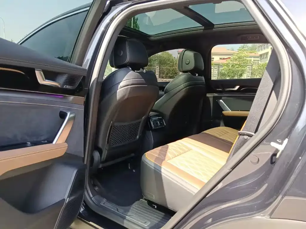 BYD Tang New Energy 2023 из CN, фото 9