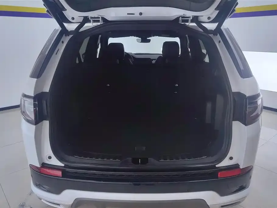 Land Rover Discovery Sport 2021 из CN, фото 4