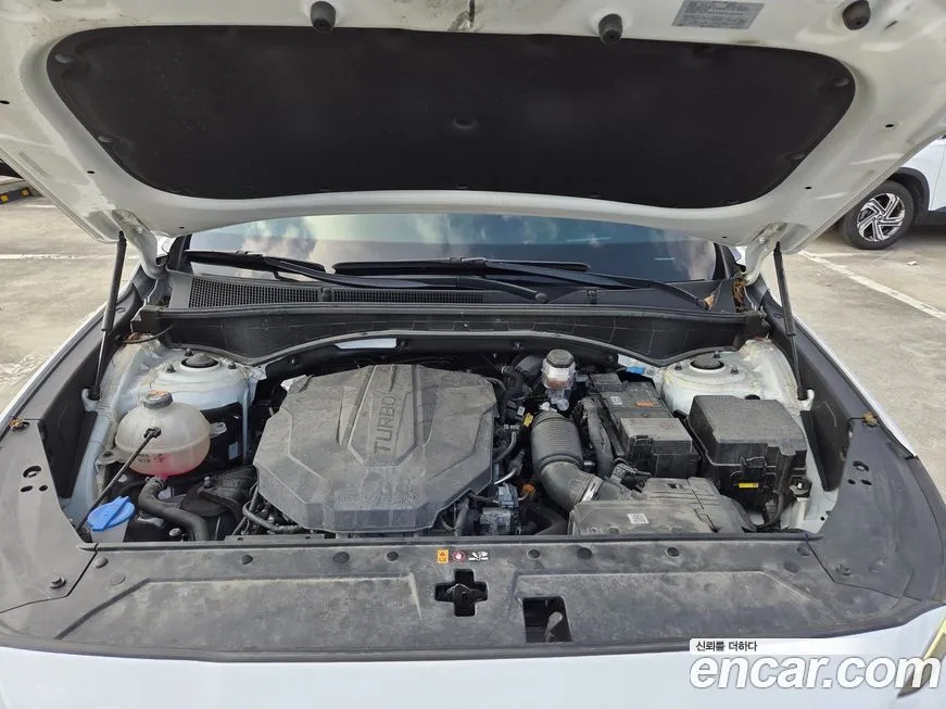 Hyundai Santafe 2022 из KR, фото 6