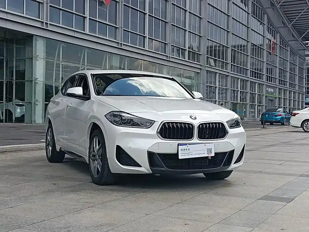 BMW X2 2021 из CN, фото 3