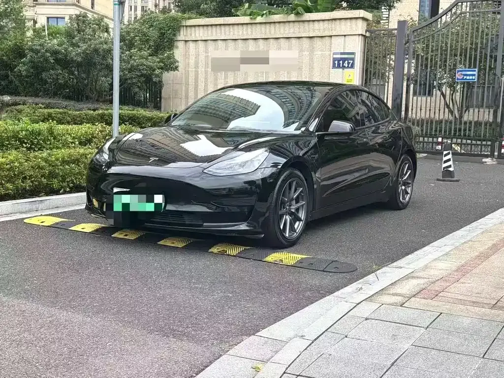 Tesla Model 3 2023 из CN, фото 1