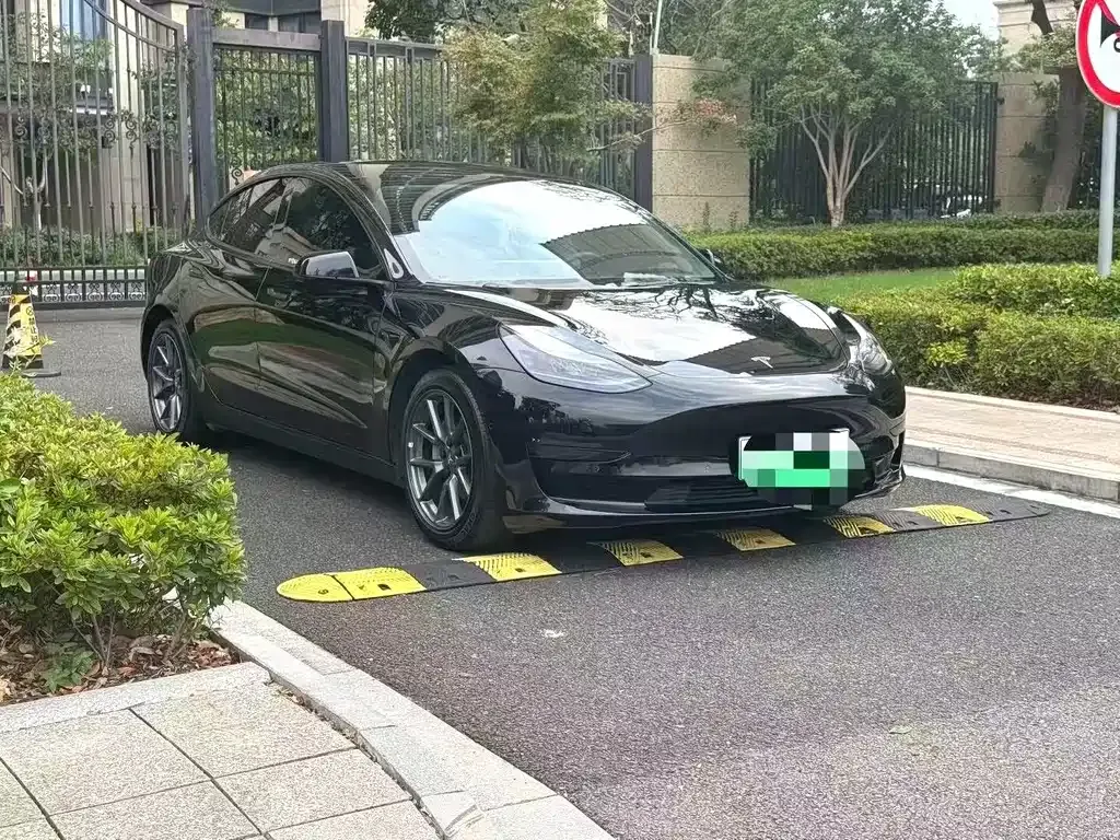 Tesla Model 3 2023 из CN, фото 3