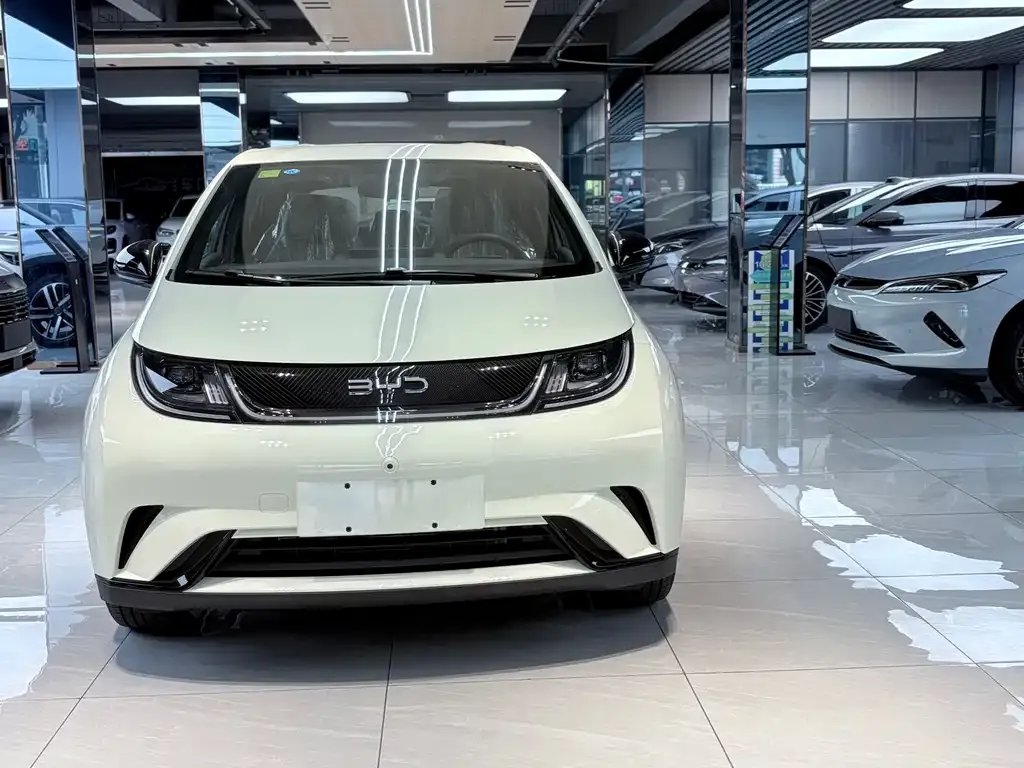 BYD Dolphin 2025 из CN, фото 1