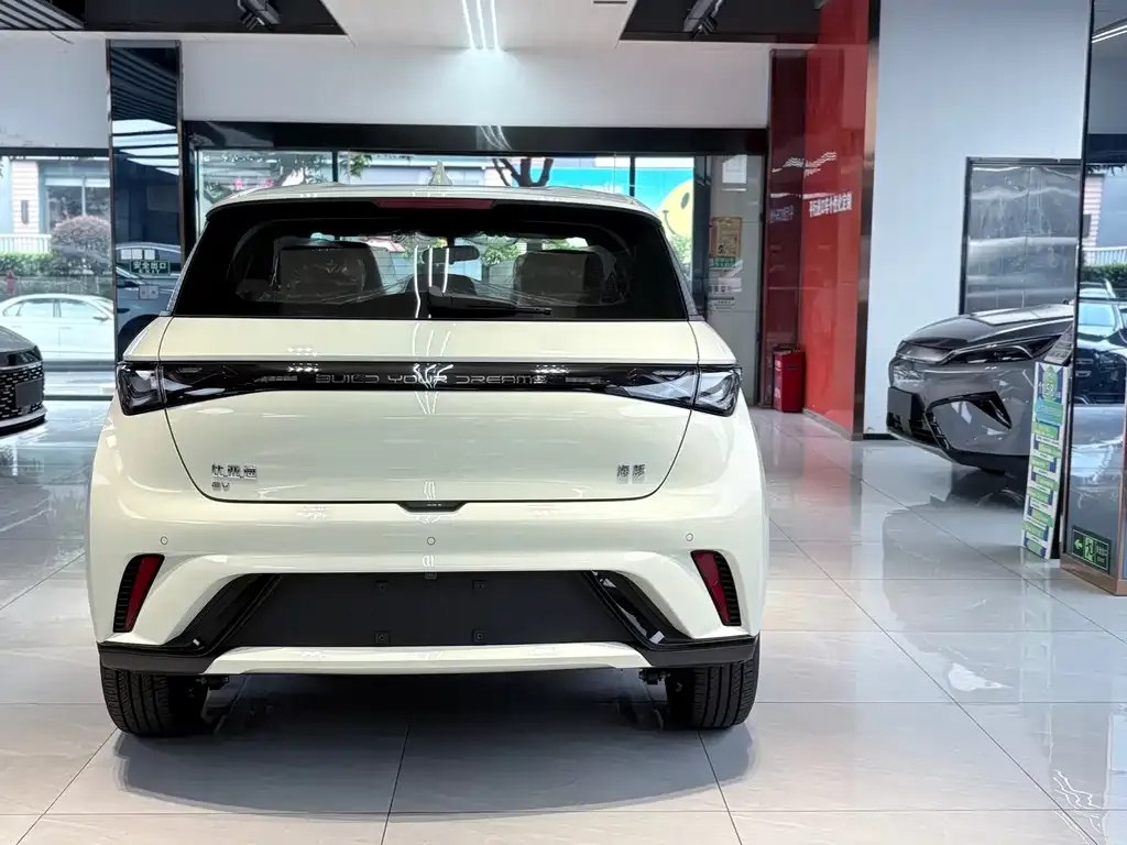 BYD Dolphin 2025 из CN, фото 5
