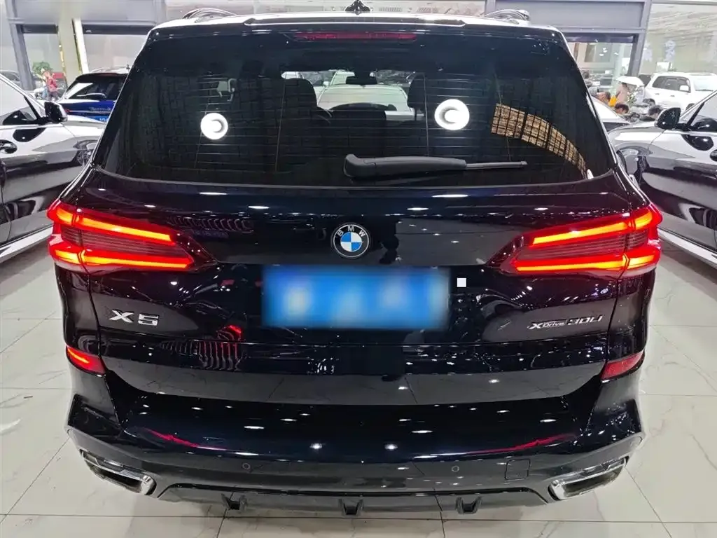 BMW X5 2023 из CN, фото 6