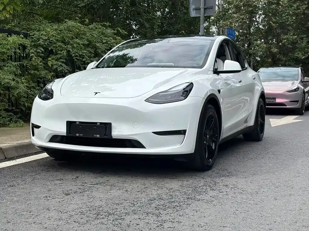 Tesla Model Y 2021 из CN, фото 1