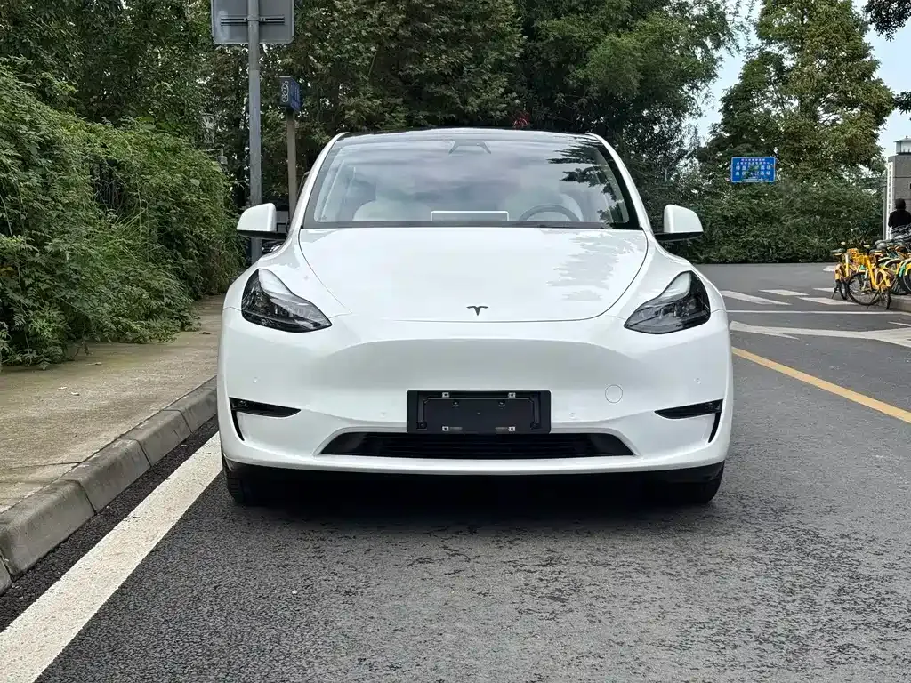 Tesla Model Y 2021 из CN, фото 2