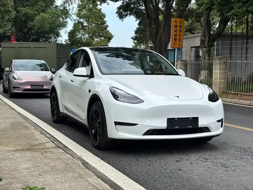 Tesla Model Y 2021 из CN, фото 3