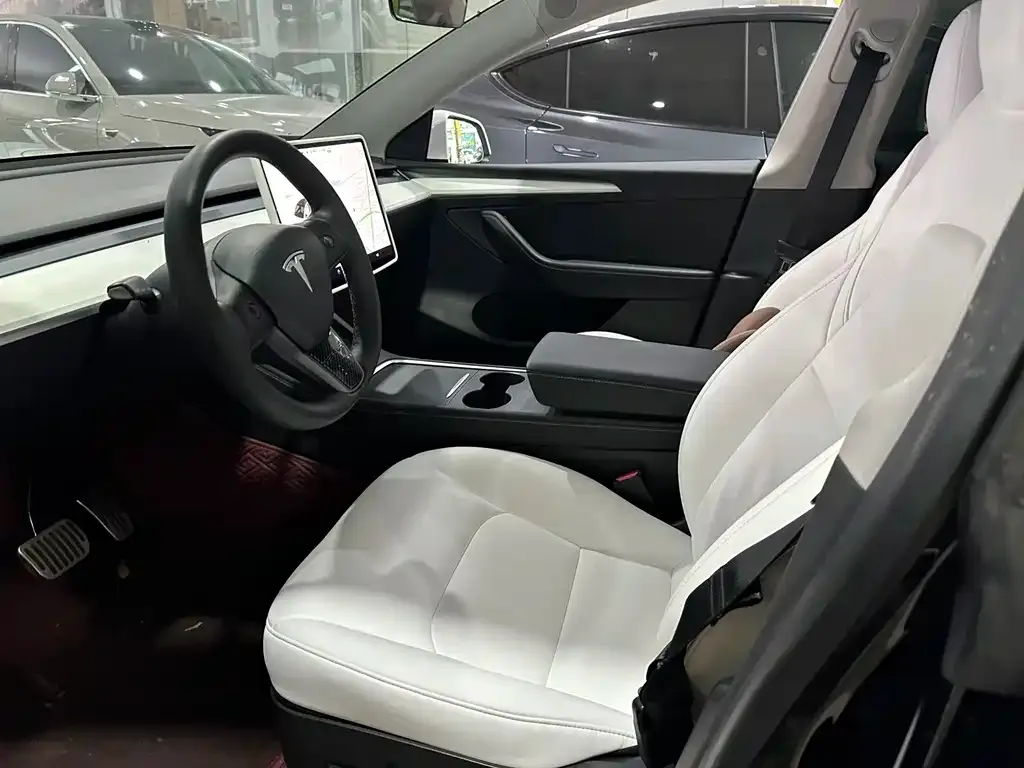 Tesla Model Y 2021 из CN, фото 4
