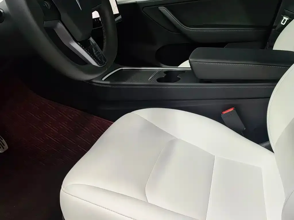 Tesla Model Y 2021 из CN, фото 5