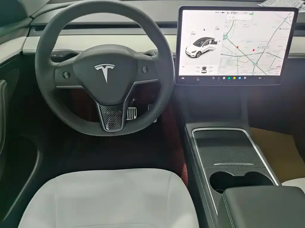 Tesla Model Y 2021 из CN, фото 6