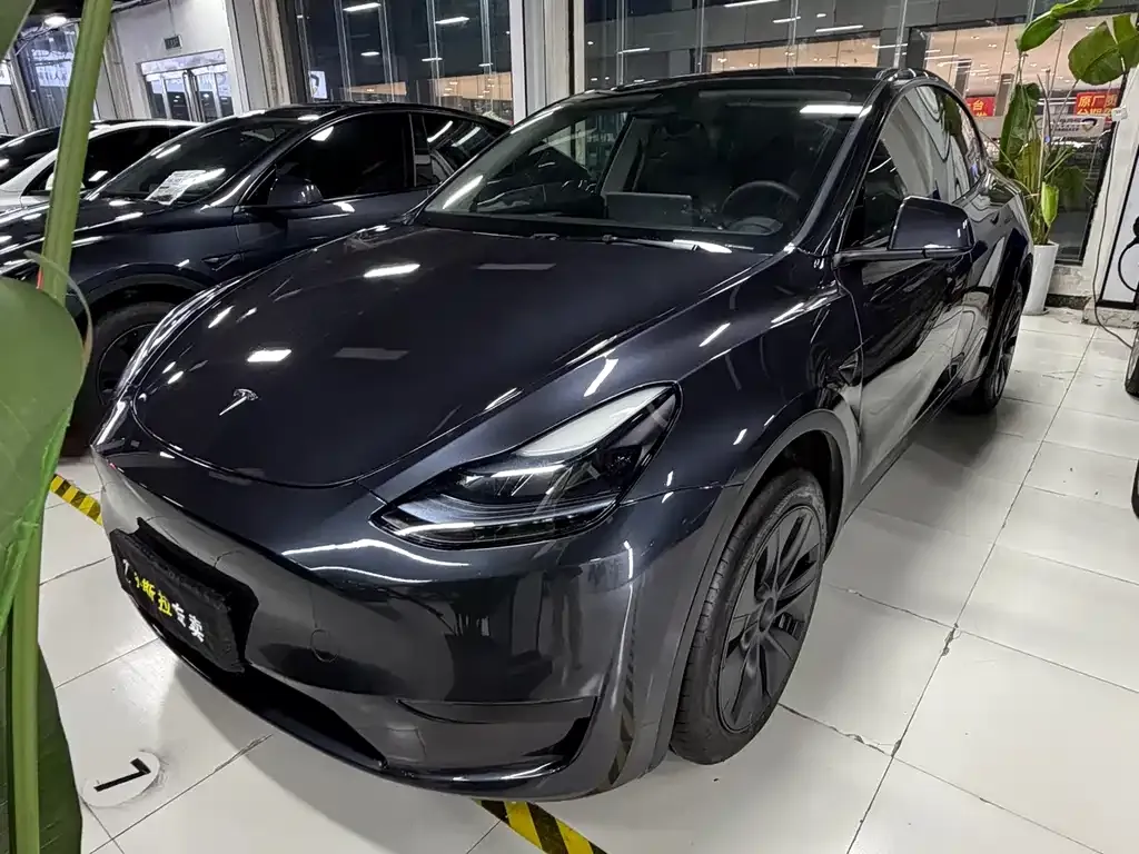 Tesla Model Y 2024 из CN, фото 1