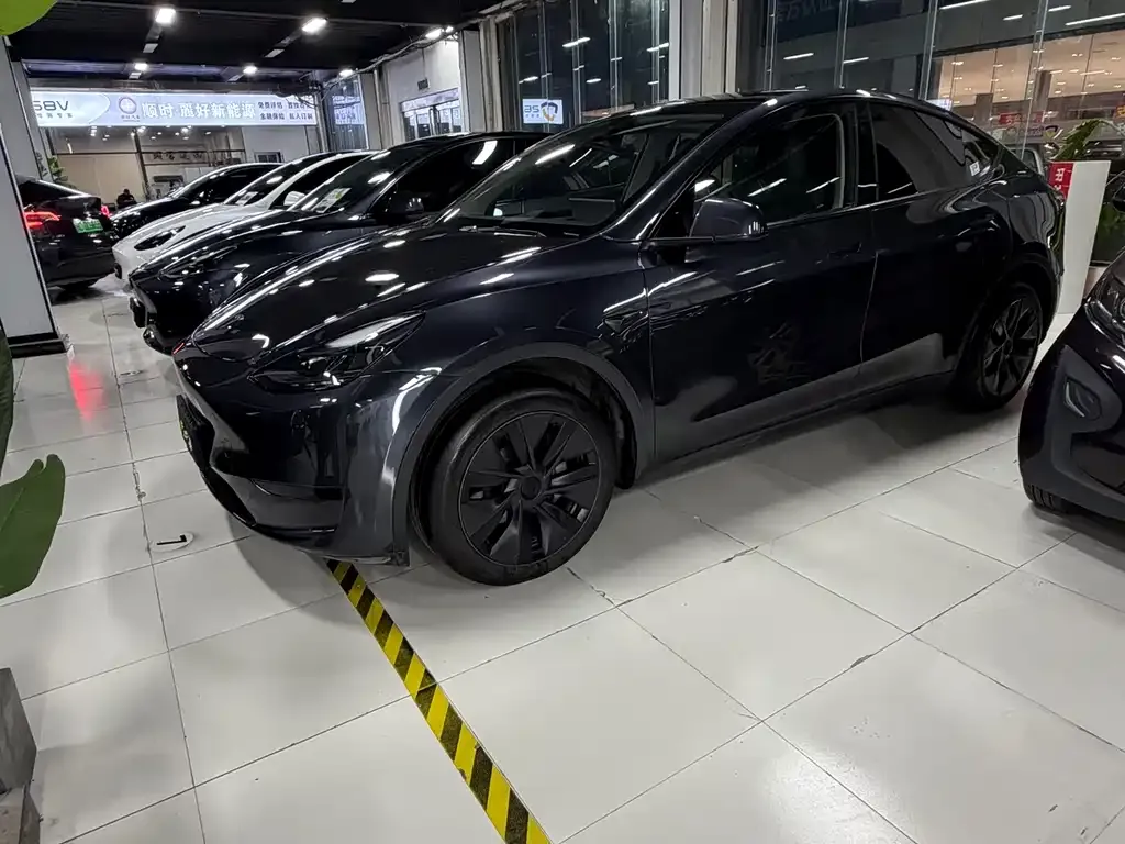 Tesla Model Y 2024 из CN, фото 2